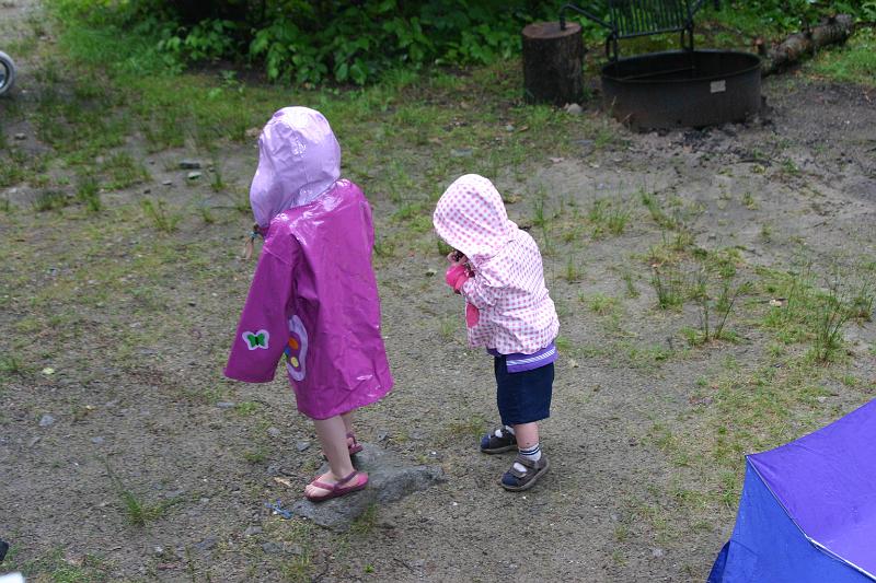 Picture 2211.jpg